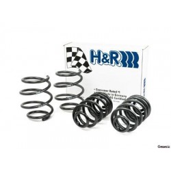 Sport Springs by H&R for 02-08 Audi A4 FWD and A4 Avant Typ (8E/B6/B7) FWD 4 Cyl models ONLY