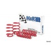 Race Springs by H&R for Audi A4 B5 Quattro AWD models 