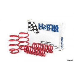 Race Springs by H&R for Audi A4 B5 Quattro AWD models 