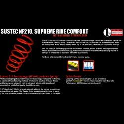 Tanabe Sustec NF210 Springs for Lexus | IS250 | IS350 