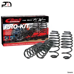 Sport Springs by Eibach for Porsche 997 | Turbo | GT2 | 